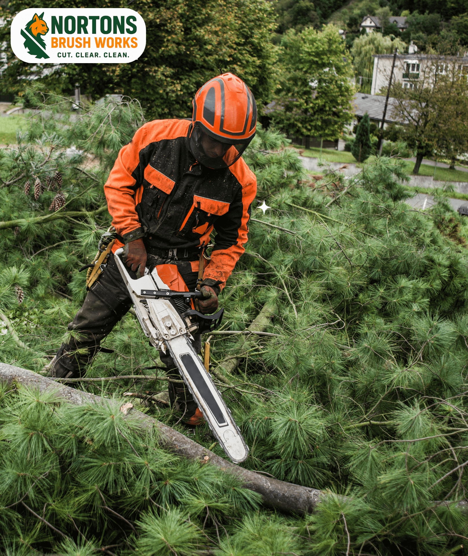 Nortons Brush Works team providing land clearing services in Northwest Arkansas