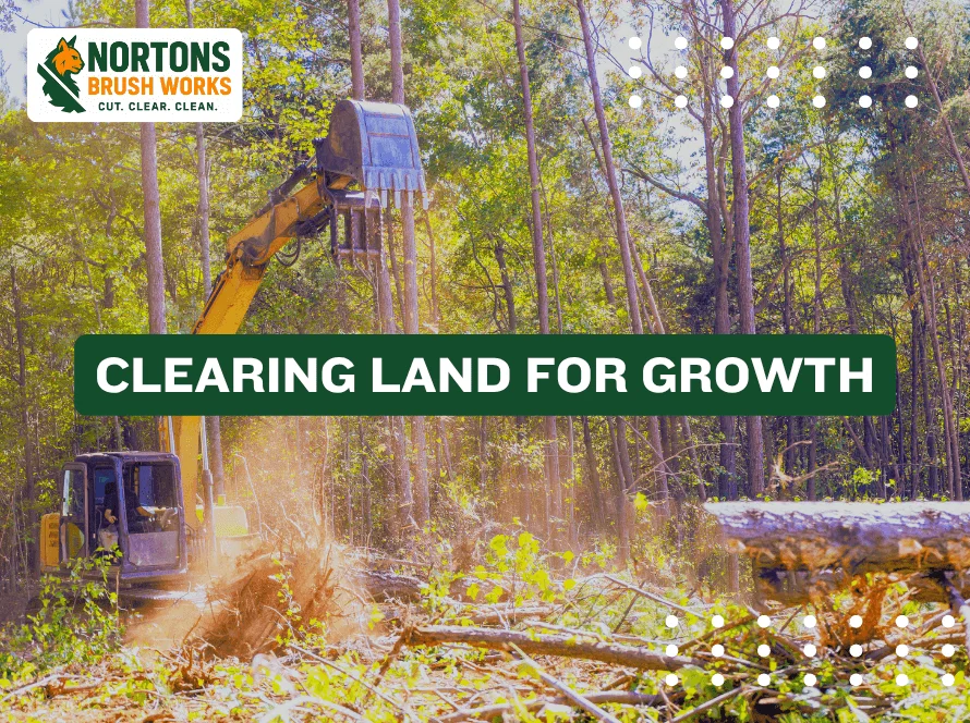 Commercial and Agricultural Land Clearance