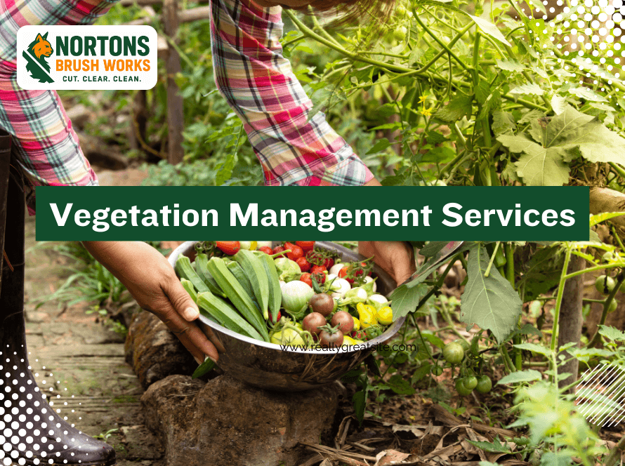 Professional vegetation management services improving land safety