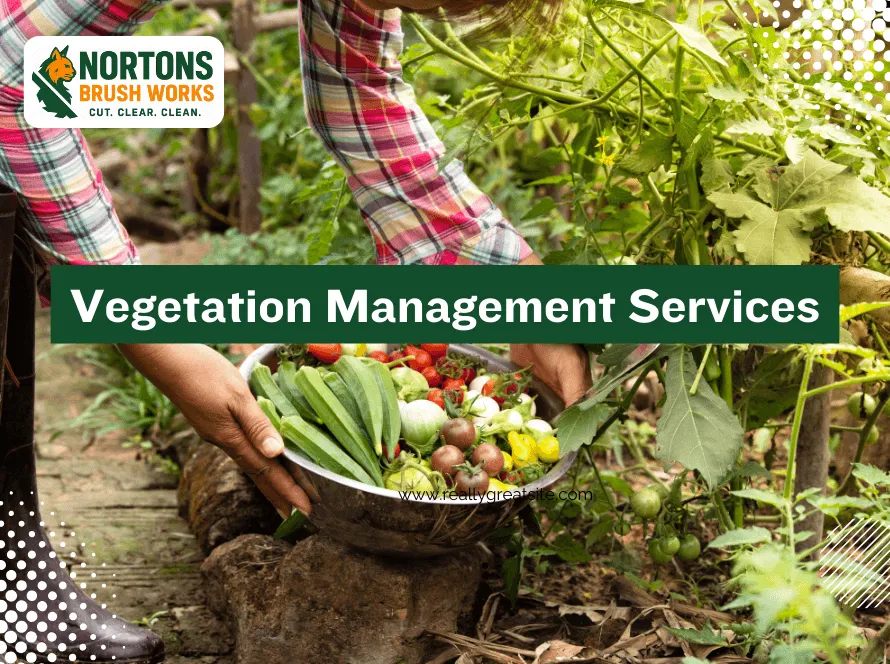 Professional vegetation management services improving land safety