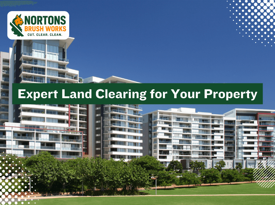Expert land clearing services preparing property for construction, landscaping, and agricultural use
