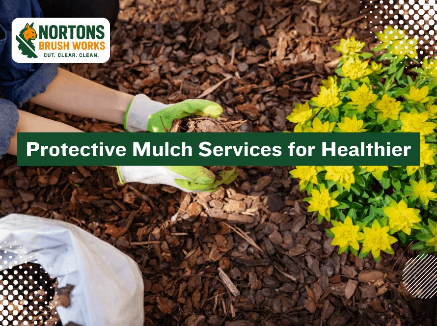Protective mulch services improving soil health, moisture retention, and erosion control