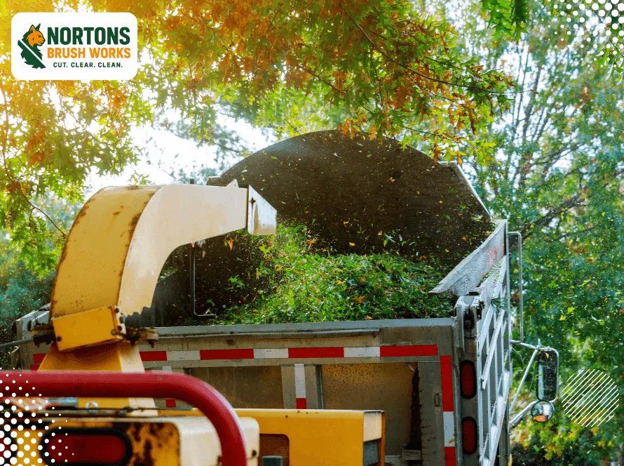 Professional Forest Mulching