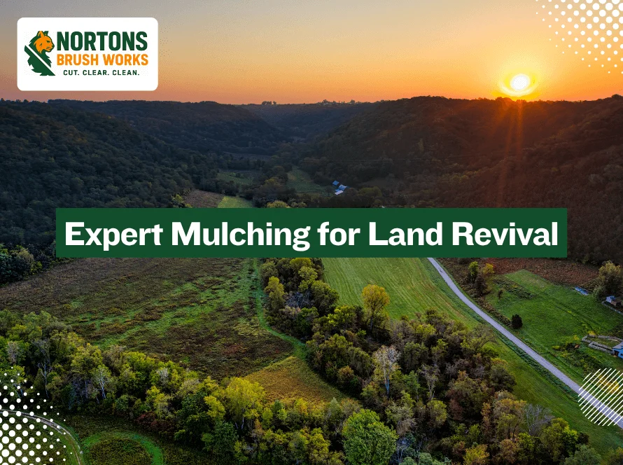 Reliable Land Clearing and Mulching Professionals