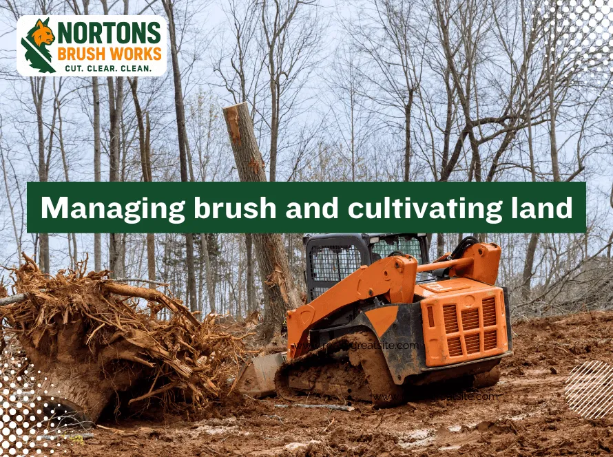 Brush management services improving land safety, soil health, and fire prevention