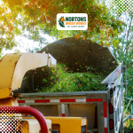 Recent post thumbnail