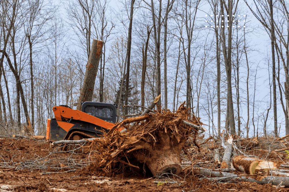 Bulldozer removing trees and brush from a rural property