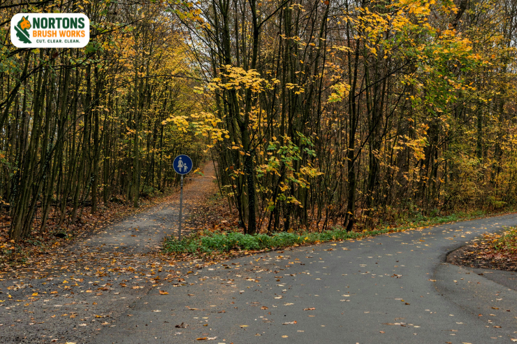 Trail and access road cutting for property access